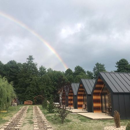 Pastravaria Zavoi Valea Danului Esterno foto
