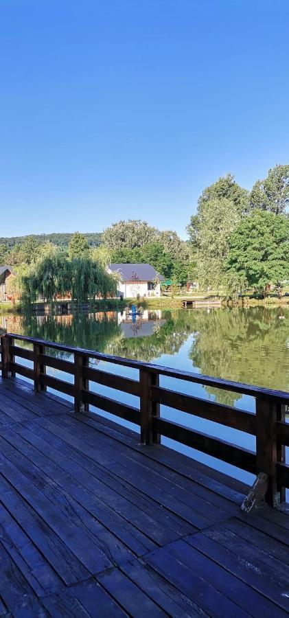 Pastravaria Zavoi Valea Danului Esterno foto
