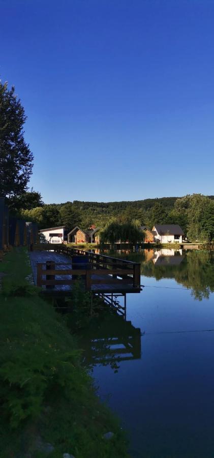 Pastravaria Zavoi Valea Danului Esterno foto