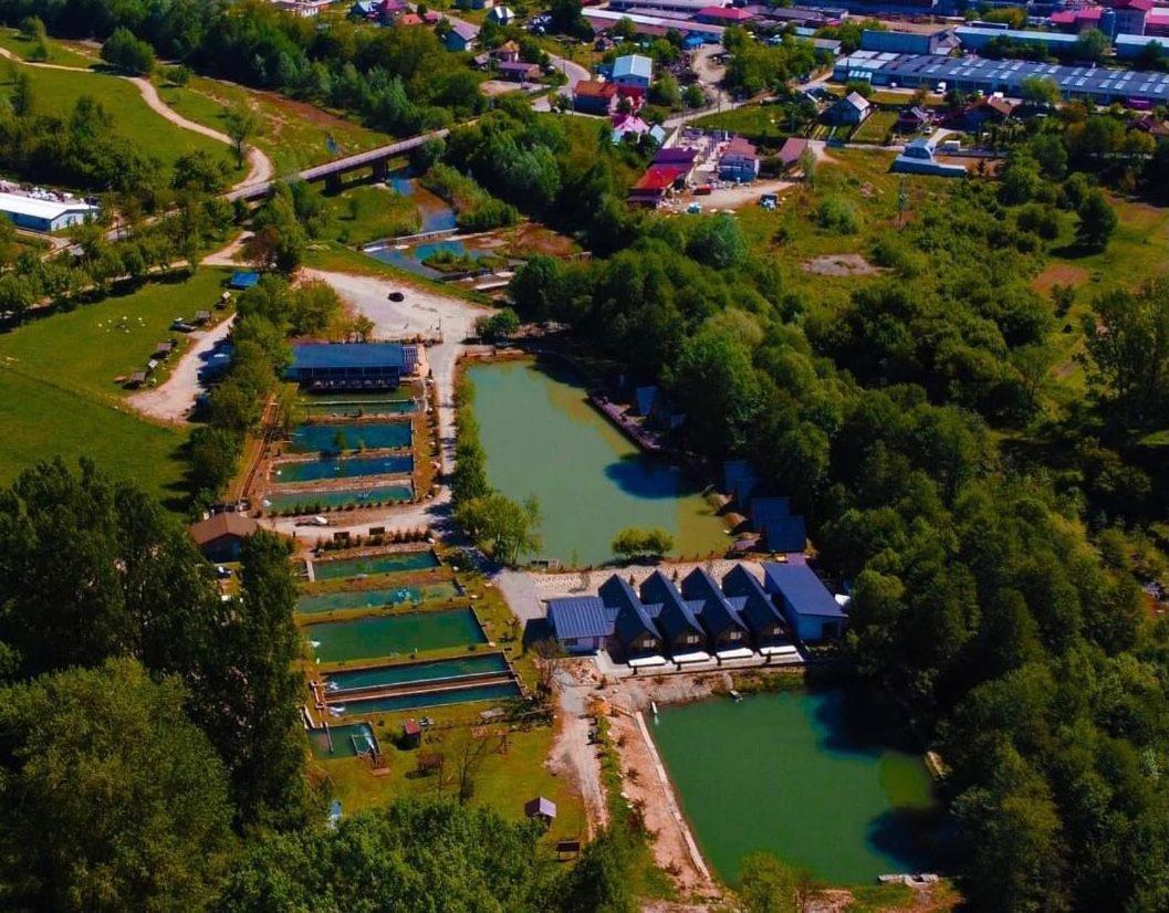 Pastravaria Zavoi Valea Danului Esterno foto