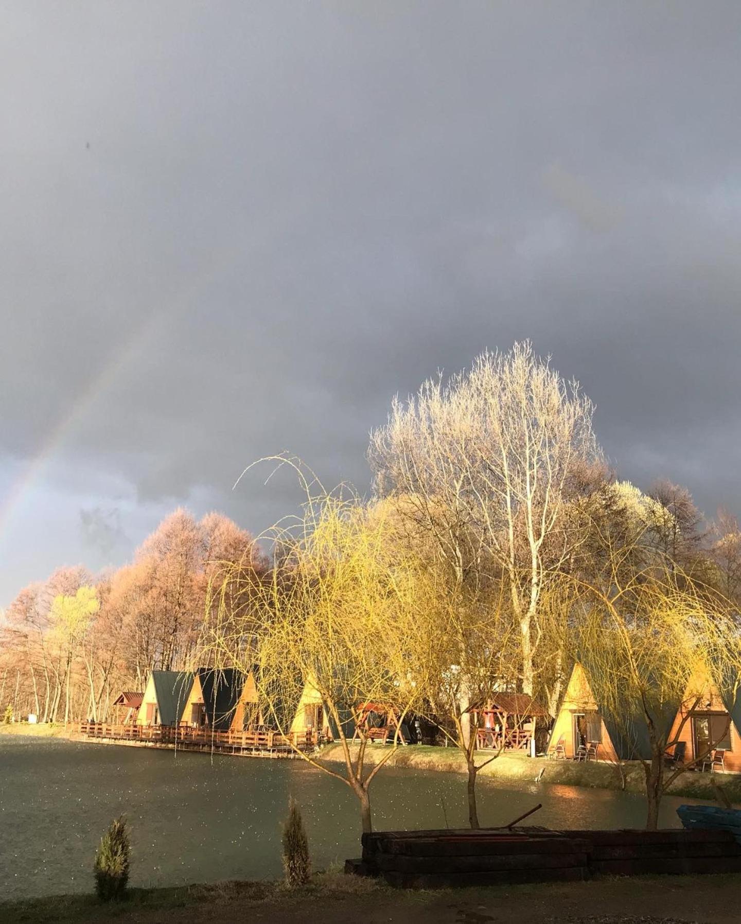 Pastravaria Zavoi Valea Danului Esterno foto